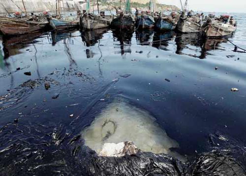 我國航運業(yè)面臨低碳巨大挑戰(zhàn)